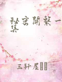 秘密关系一共几集