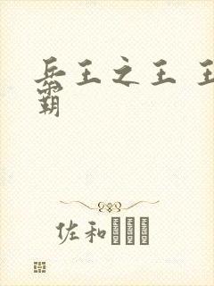兵王之王 王天霸