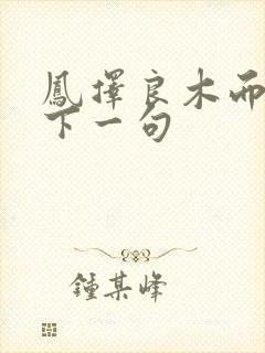 凤择良木而栖之下一句