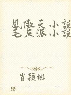 凤傲天小说里黄毛反派小说免费阅读