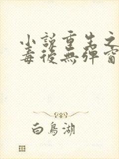 小说重生之将门毒后无弹窗无广告