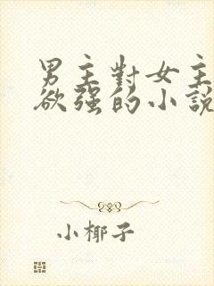 男主对女主占有欲强的小说