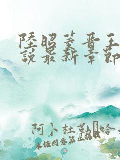 陆昭菱晋王的小说最新章节