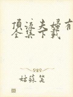 顶流夫妇有点甜全集下载