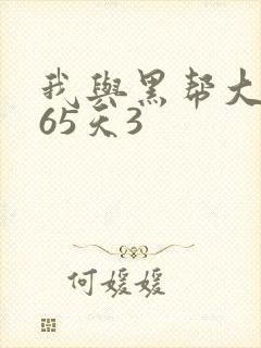 我与黑帮大佬365天3