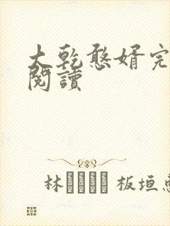 大乾憨婿完整版阅读