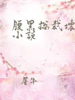 腹黑总裁坏坏爱小说