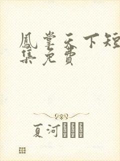 凤掌天下短剧全集免费