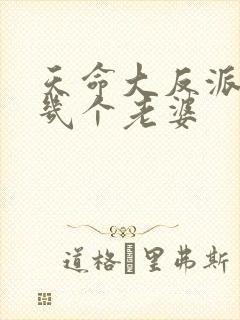 天命大反派女主几个老婆