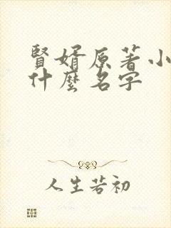 贤婿原著小说叫什么名字