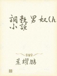 调教男奴(h)小说