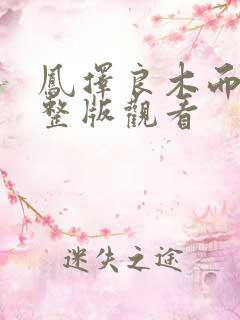 凤择良木而栖完整版观看