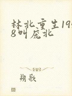 林北重生1958叫庞北