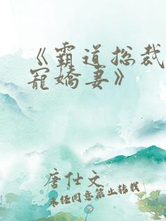 《霸道总裁的独宠娇妻》