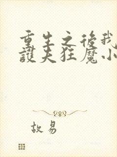 重生之后我成了护夫狂魔小说