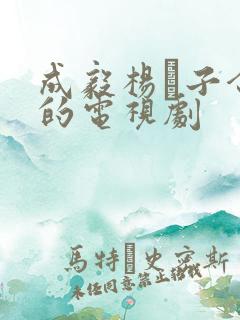 成毅杨肸子合作的电视剧