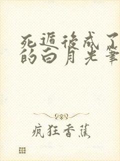 死遁后成了师尊的白月光笔趣阁