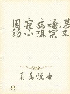 团宠病娇,慕少的小祖宗又凶又撩在线阅读