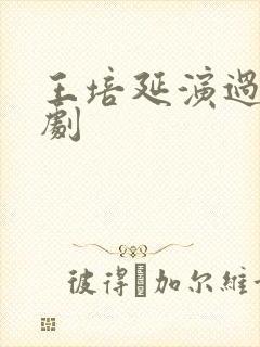 王培延演过什么剧