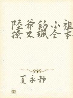 陆爷的小祖宗又撩又飒全本阅读