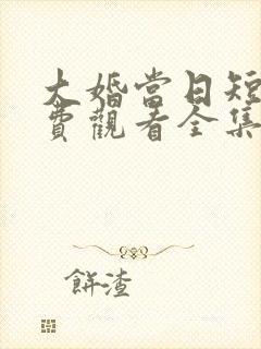 大婚当日短剧免费观看全集