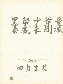 黑帮少爷爱上我泰剧未删减版