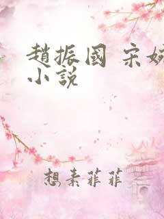 赵振国 宋婉清小说