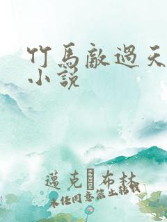 竹马敌过天降的小说