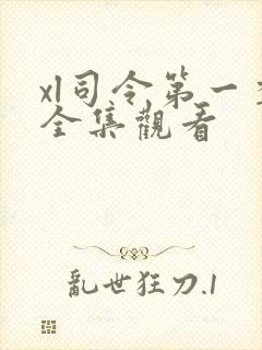 xl司令第一季全集观看