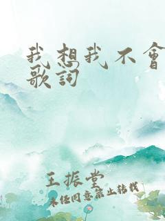 我想我不会爱你歌词