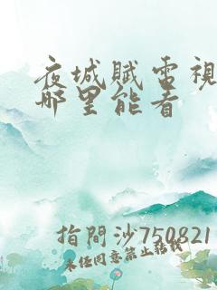 夜城赋电视剧在哪里能看