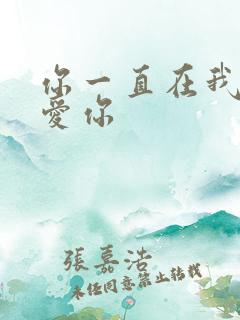 你一直在我一直爱你