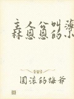 主人公叫薄穆寒林恩恩的小说