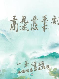 看见爱台剧有无删减版本