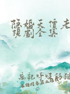 隐婚天价老公电视剧全集