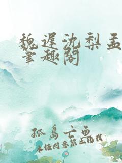 魏迟沈梨孟灵薇笔趣阁