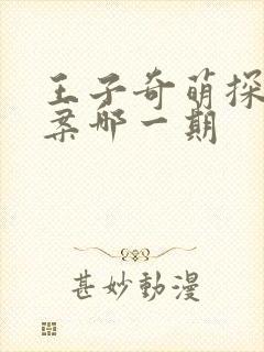 王子奇萌探探探案哪一期