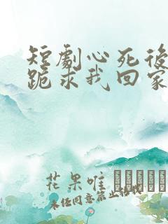 短剧心死后家人跪求我回家结局