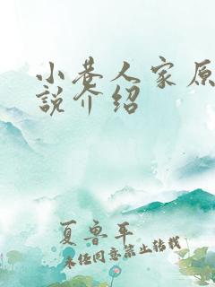 小巷人家原著小说介绍