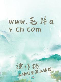 www.毛片av cn com