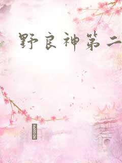 野良神第二季