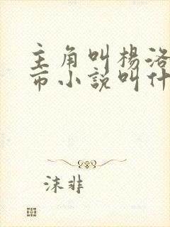 主角叫杨洛的都市小说叫什么名字