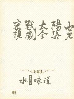 密战太阳山1电视剧全集免费观看