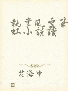 执掌风云萧峥陈虹小说读