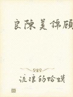 良陈美锦顾锦荣