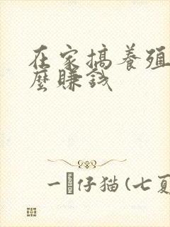 在家搞养殖养什么赚钱