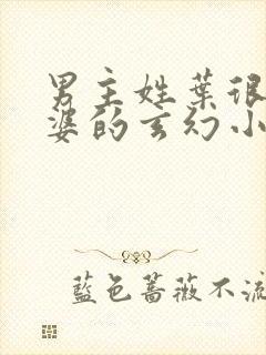 男主姓叶很多老婆的玄幻小说