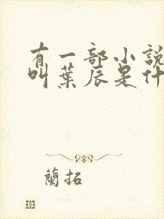 有一部小说主角叫叶辰是什么小说