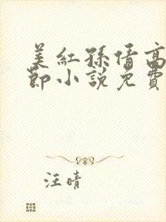 美红孙倩高义章节小说免费阅读