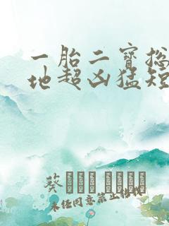 一胎二宝总裁爹地超凶猛短剧免费全集